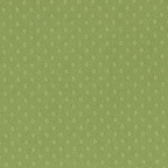 Bazzill Cardstock - Dotted Swiss Irish Eyes 30,5x3